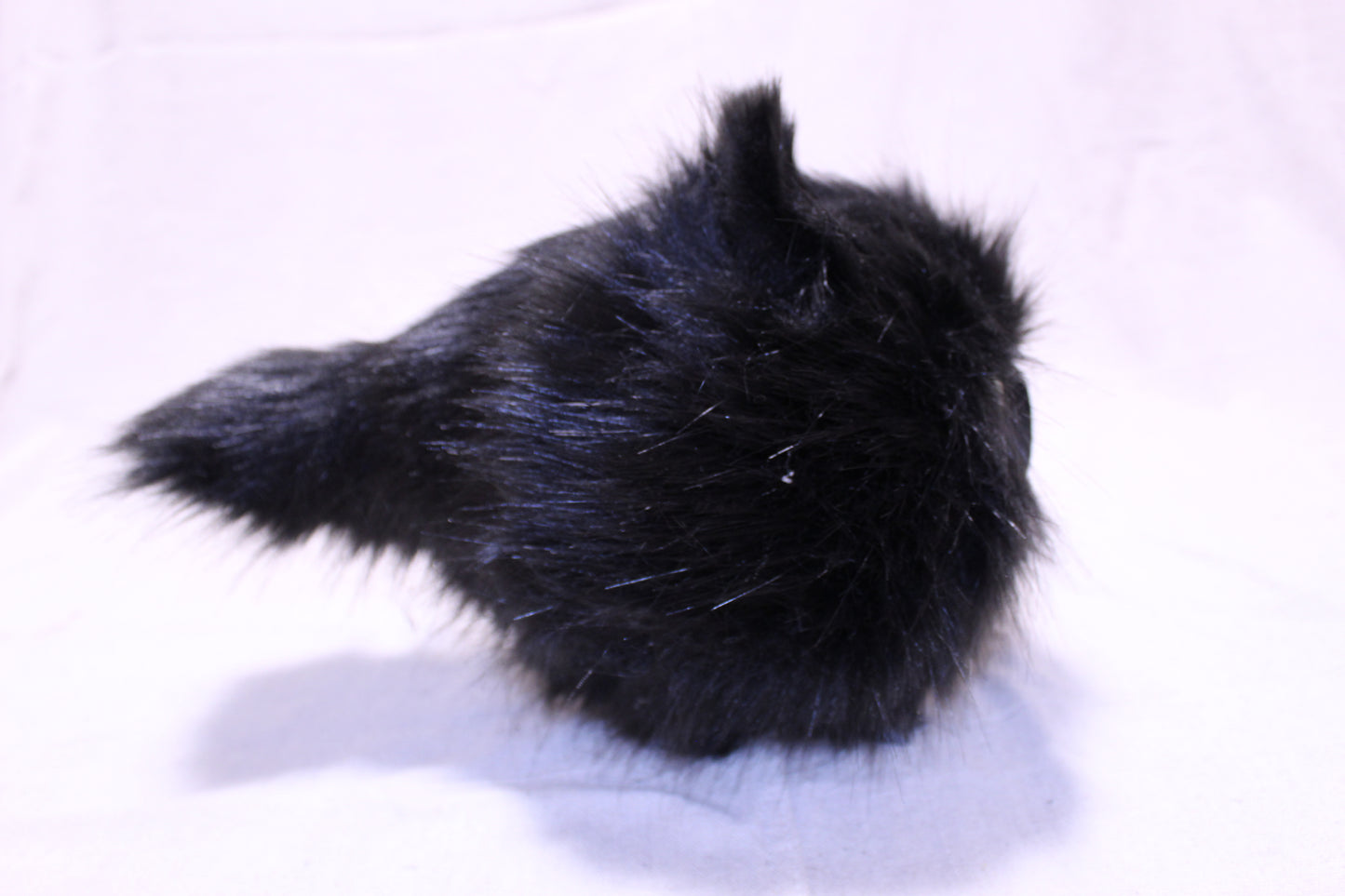 Lothball Kitten Black with Yellow Eyes
