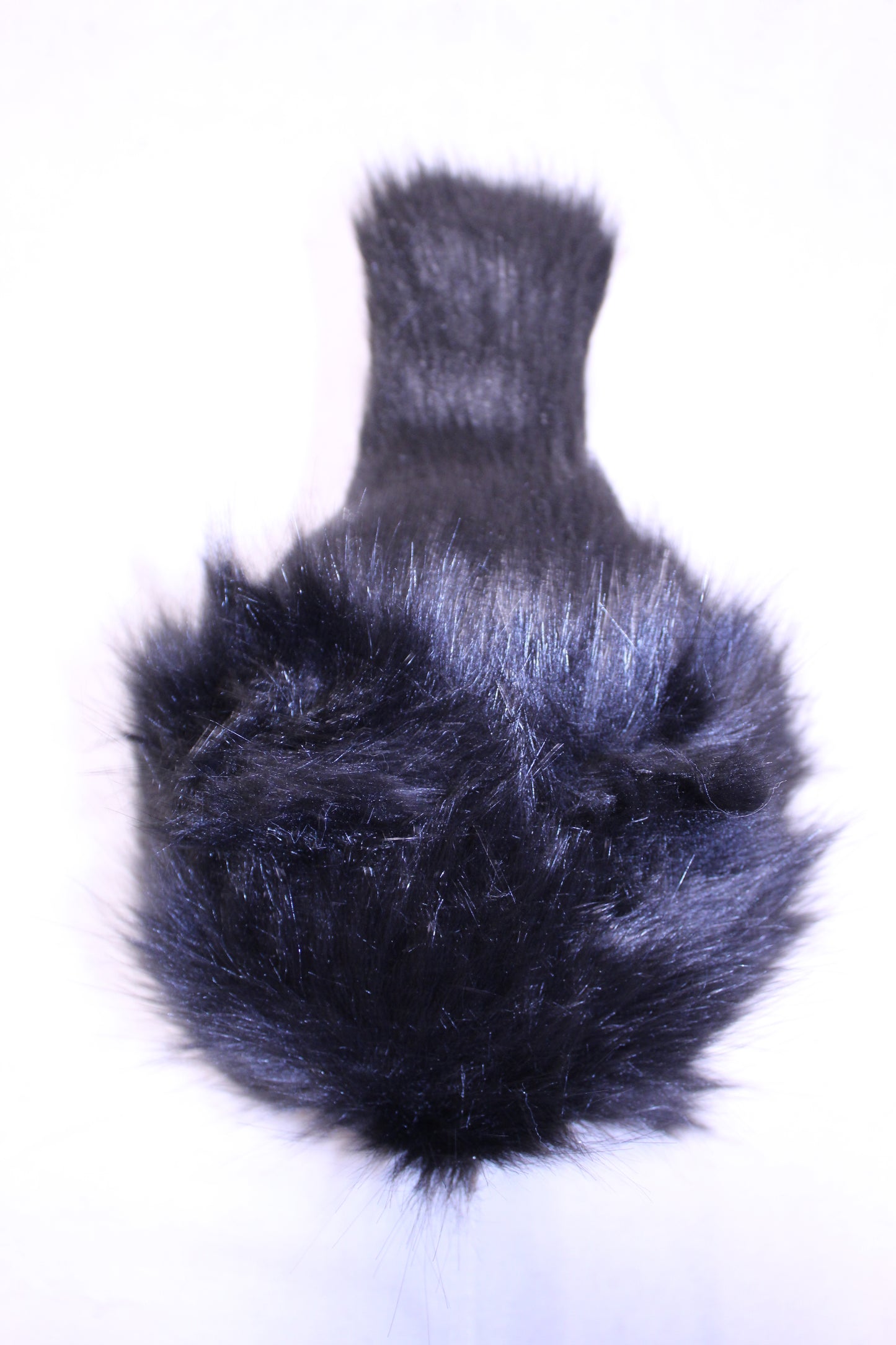 Lothball Kitten Black with Gray Eyes