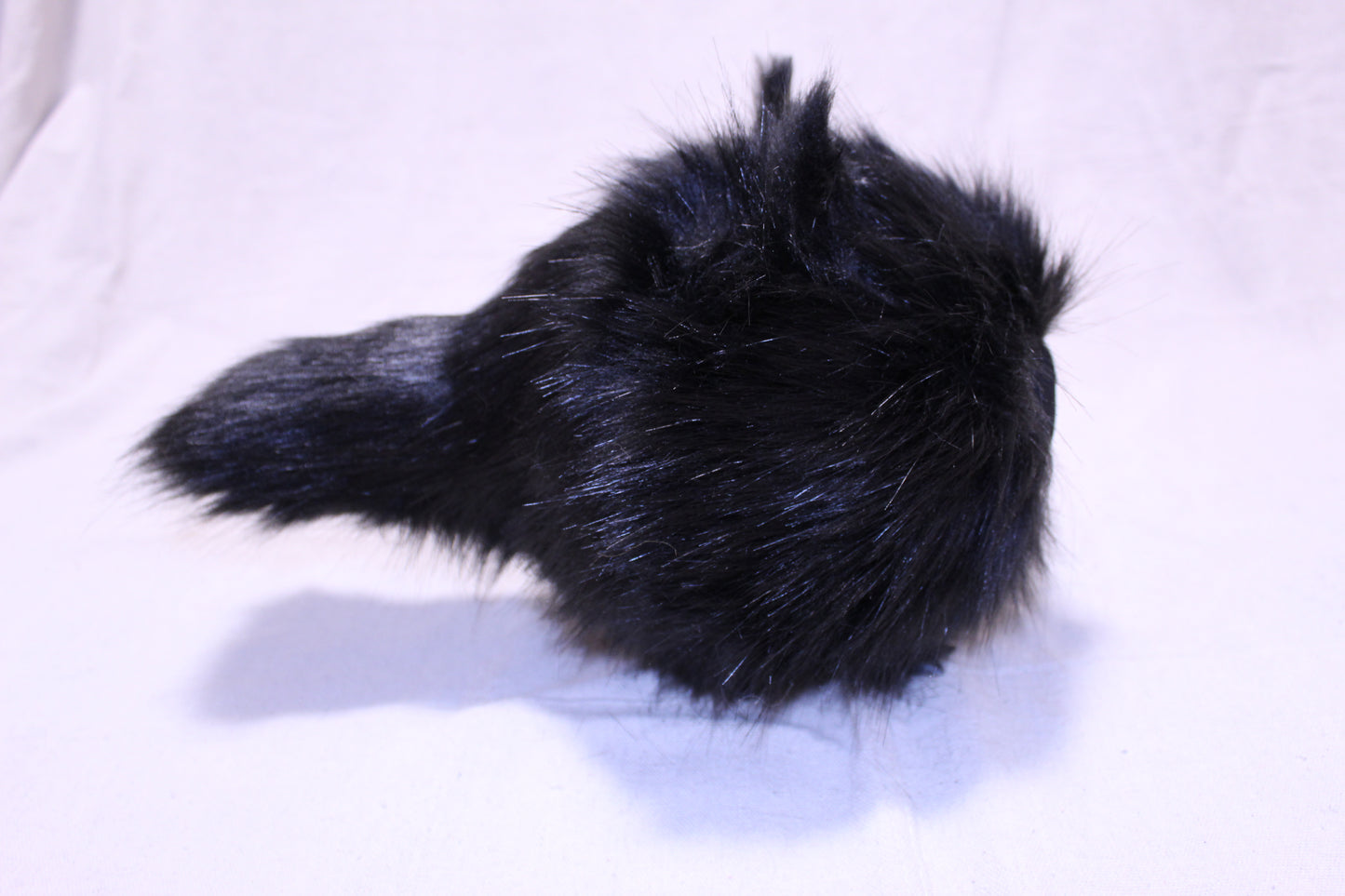 Lothball Kitten Black with Gray Eyes