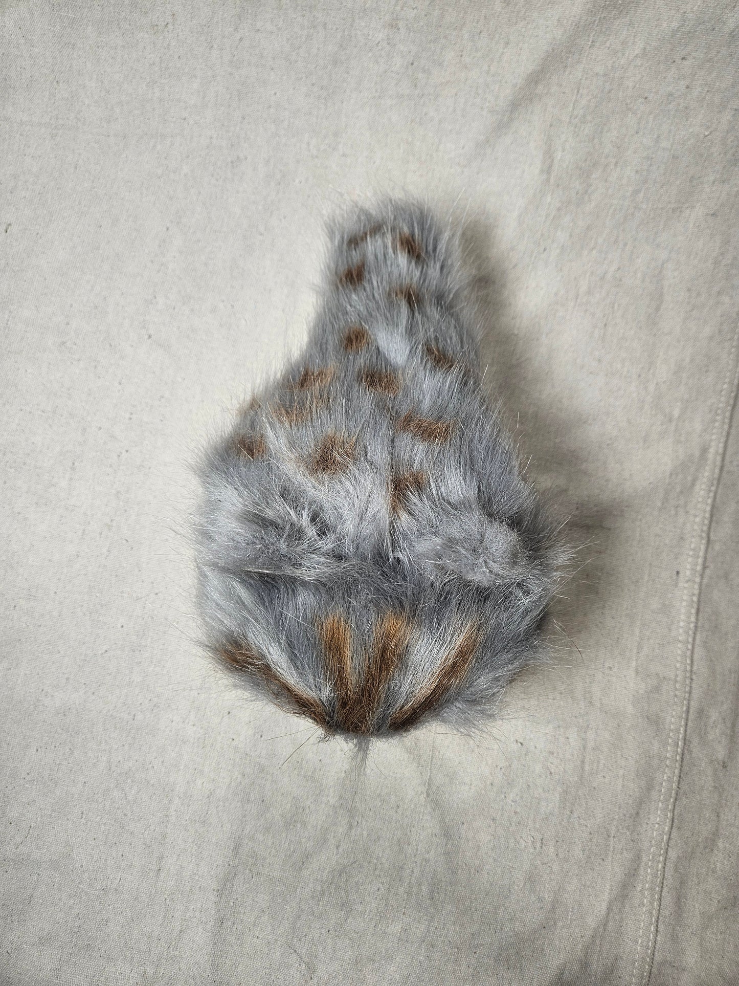 Lothball Kitten Gray with Blue Eyes, Brown Spots