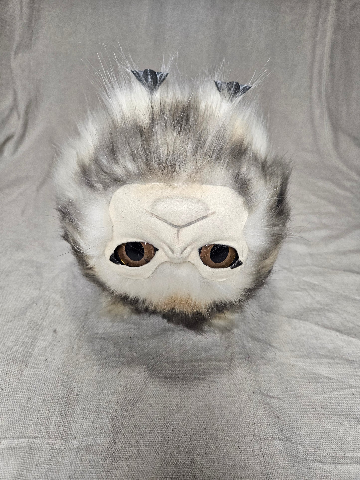 Lothball Kitten Cream with Brown Eyes, Black "Husky" Fur
