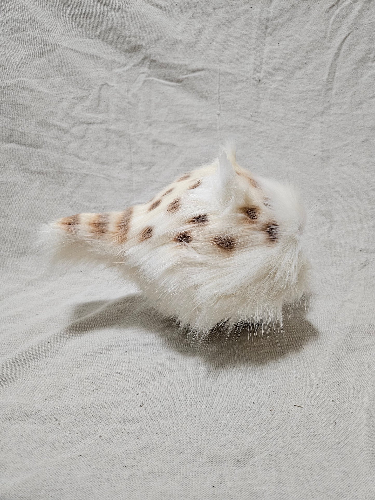 Art Doll Lothball Kitten- Cream with Light Blue Eyes and Brown Spots