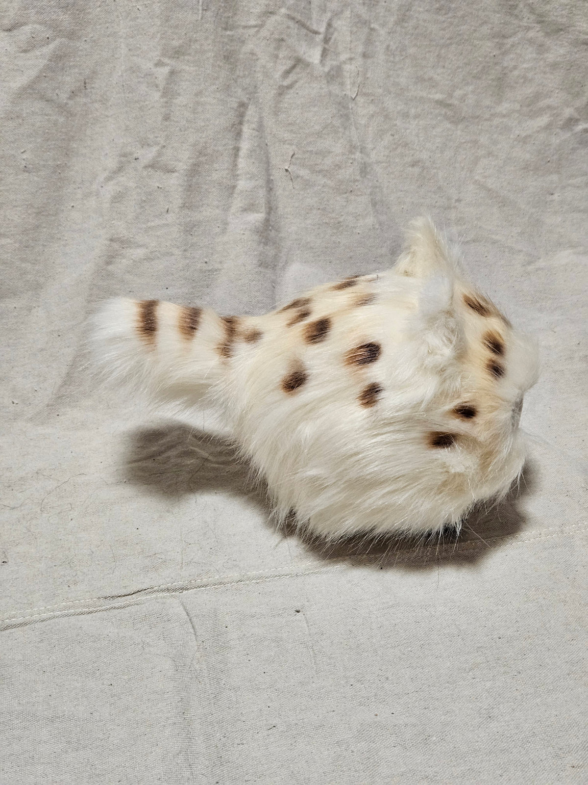 Art Doll Lothball Kitten- Cream with Dark Brown Eyes and Brown Spots