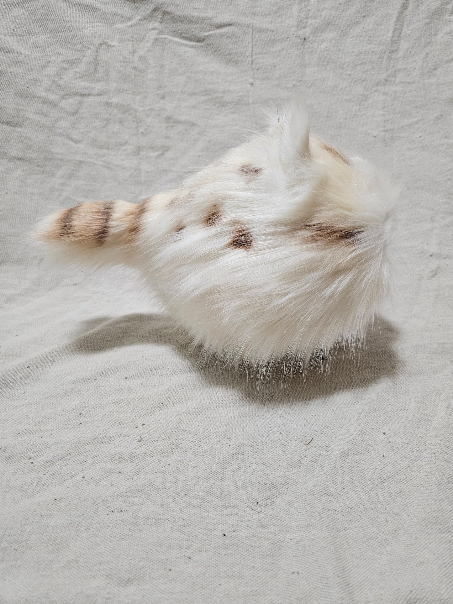 Art Doll Lothball Kitten- Cream with Light Green Eyes and Brown Spots