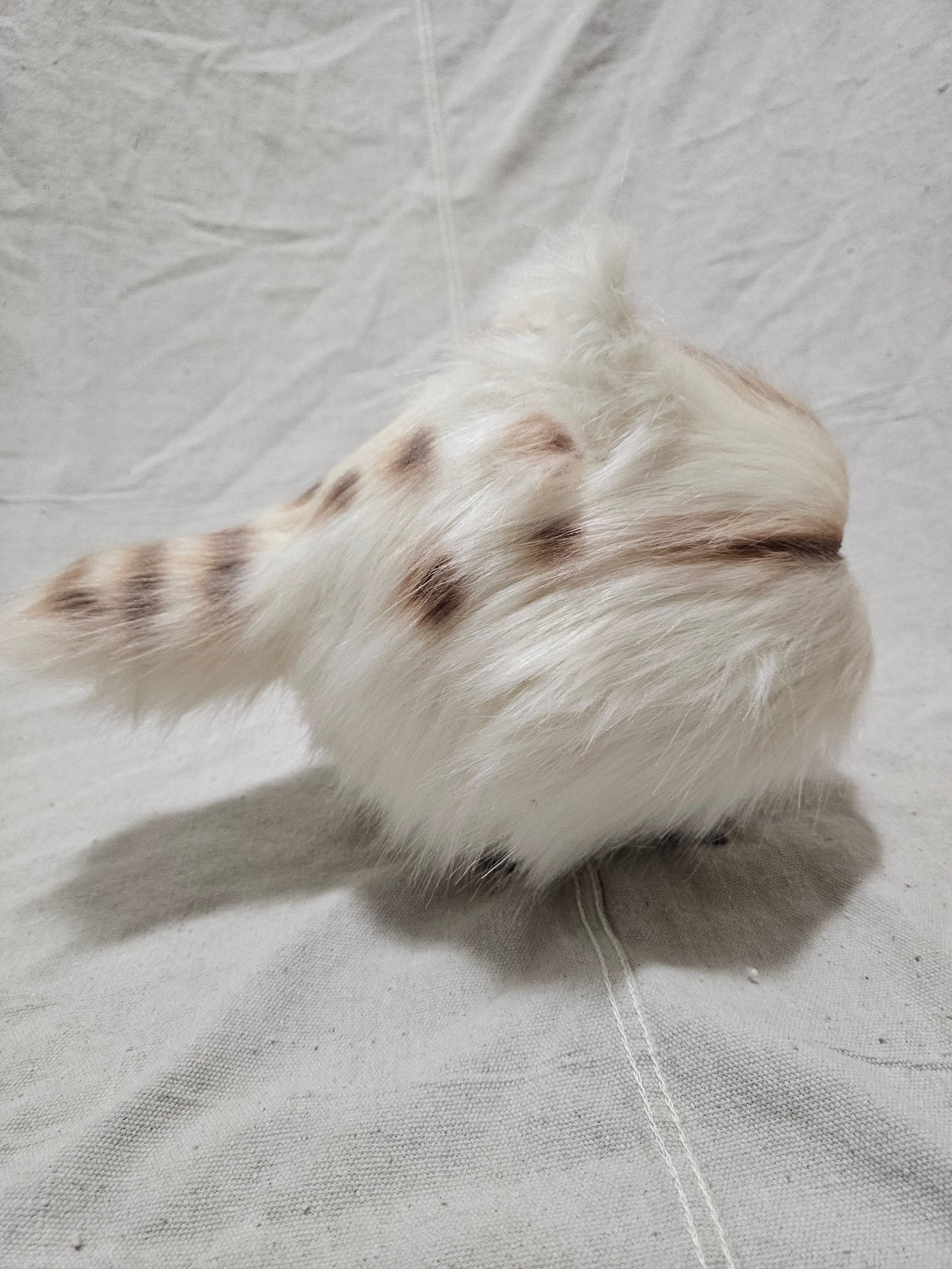 Art Doll Lothball Kitten- Cream with Brown Eyes and Brown Spots