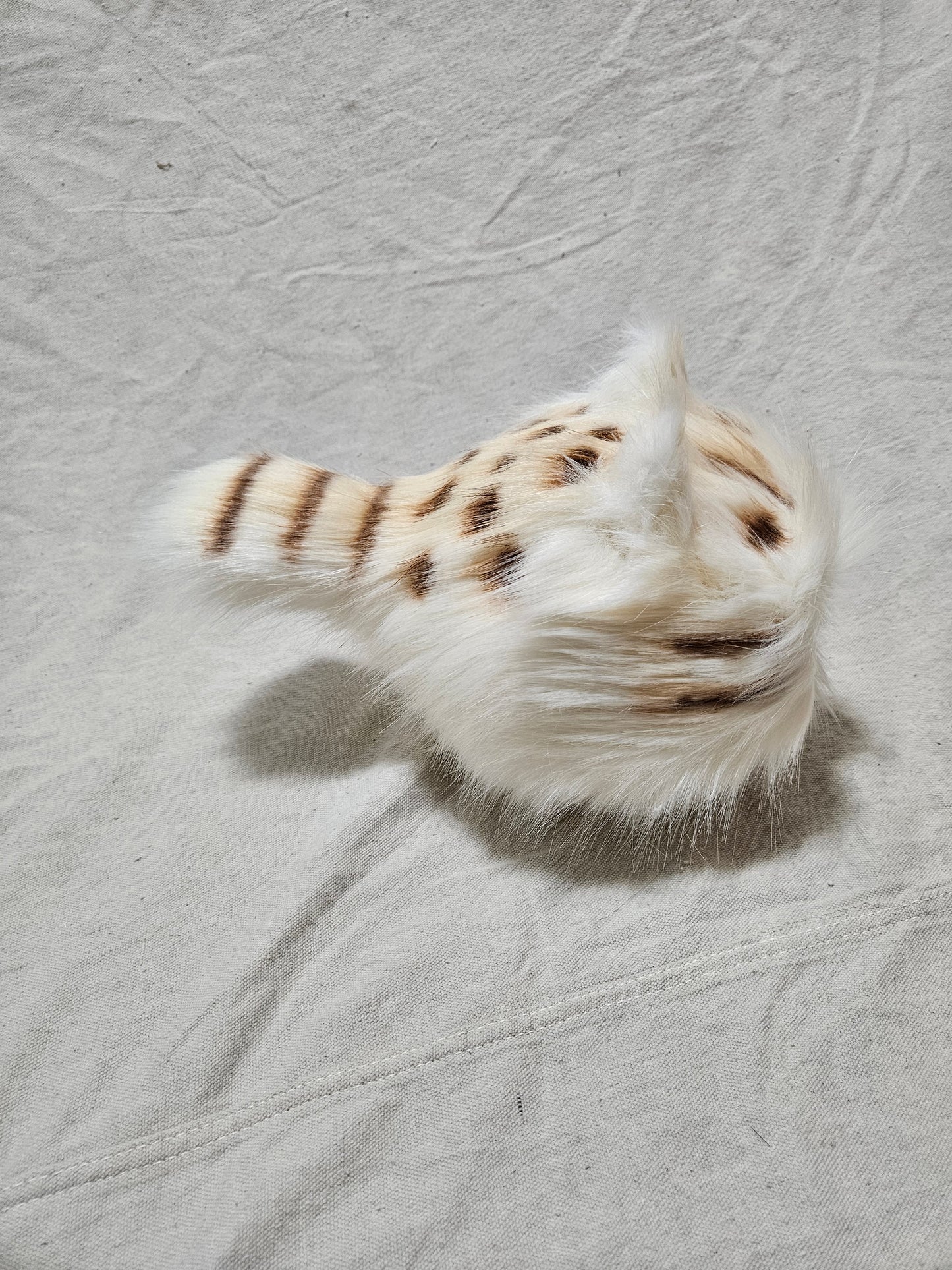 Art Doll Lothball Kitten- Cream with Dark Blue Eyes and Brown Spots
