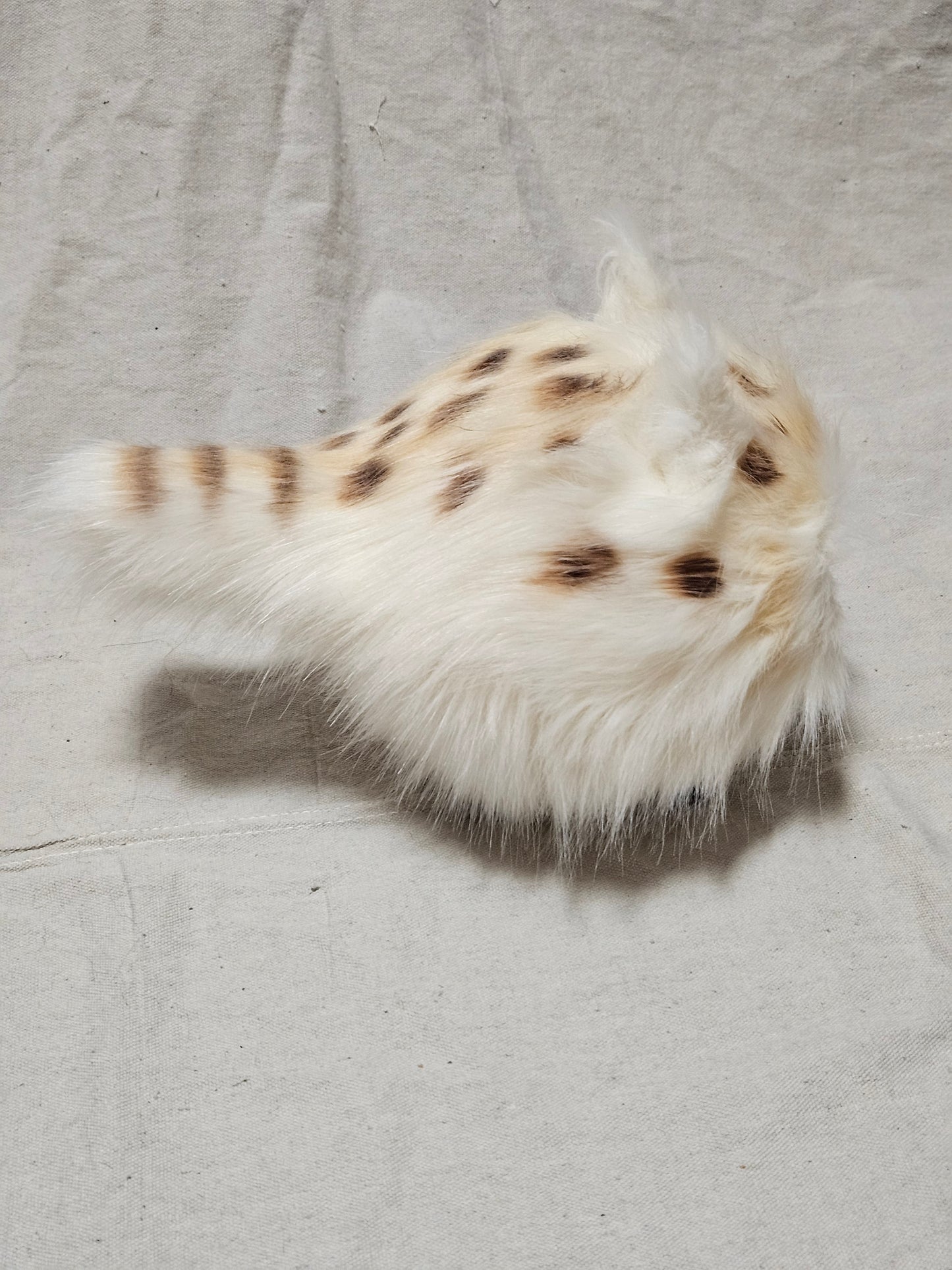 Art Doll Lothball Kitten- Cream with Light Brown Eyes and Brown Spots