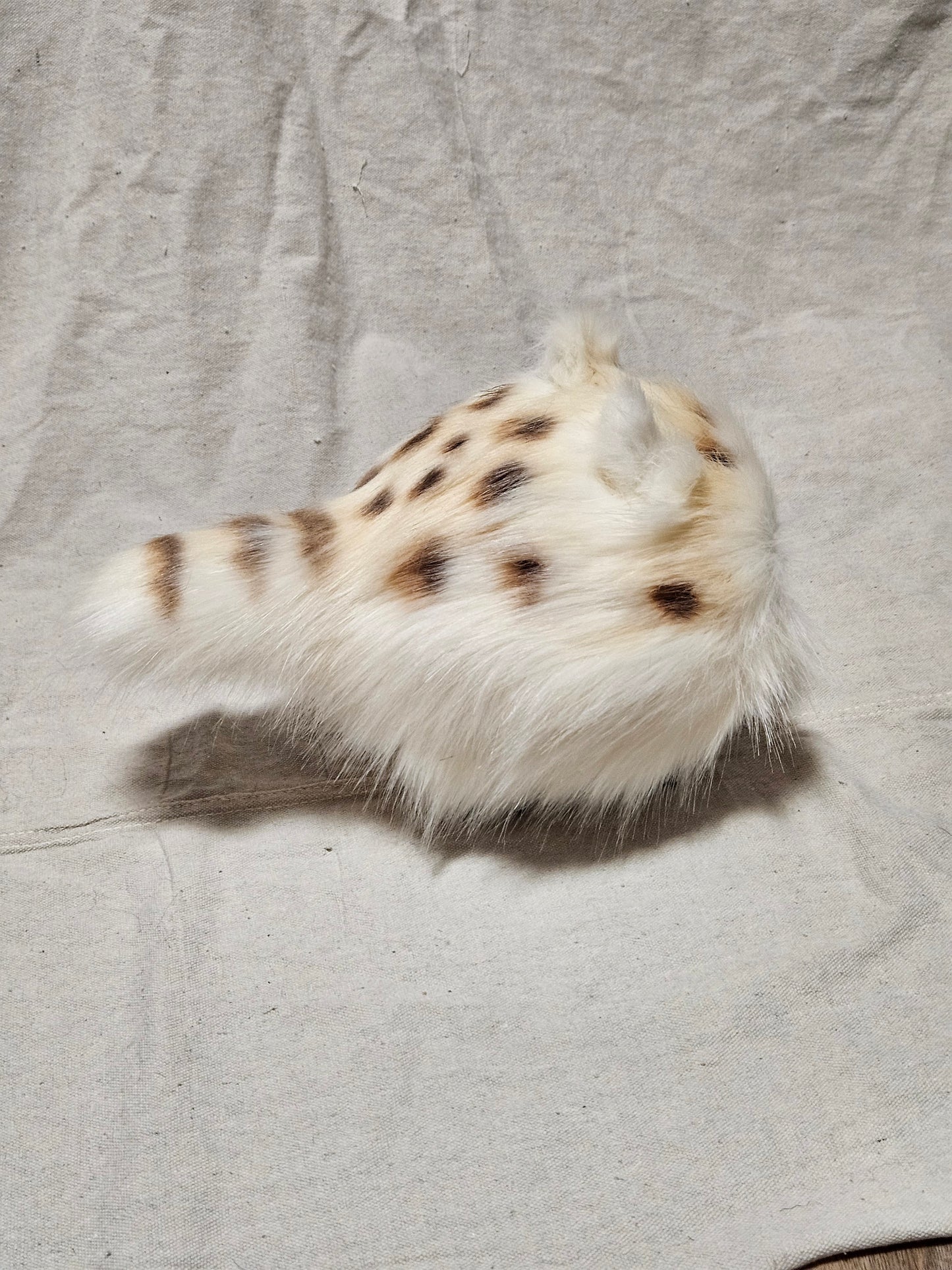 Art Doll Lothball Kitten- Cream with Light Blue Eyes and Brown Spots
