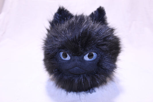 Lothball Kitten Black with Gray Eyes