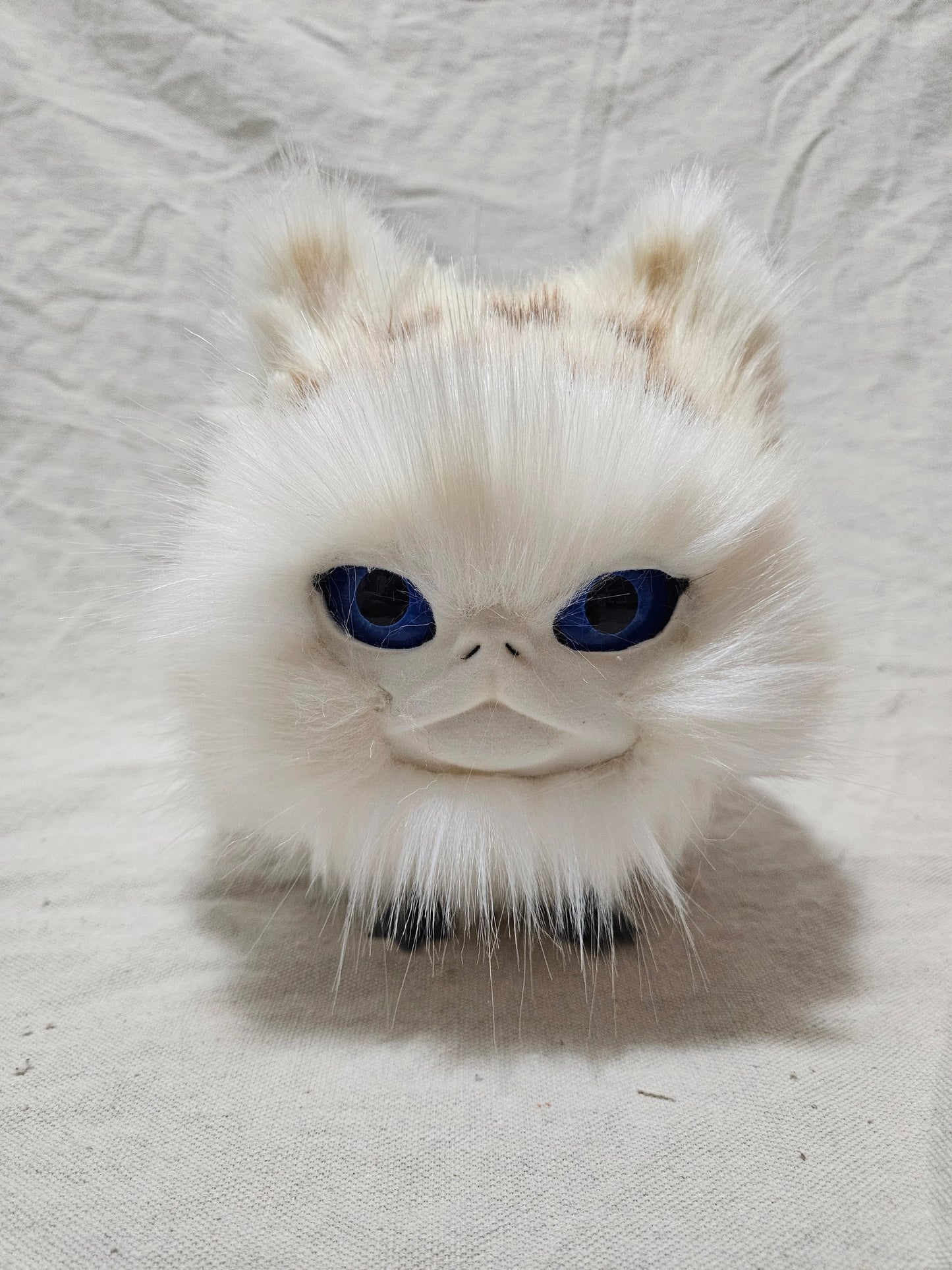 Art Doll Lothball Kitten- Cream with Dark Blue Eyes and Brown Spots