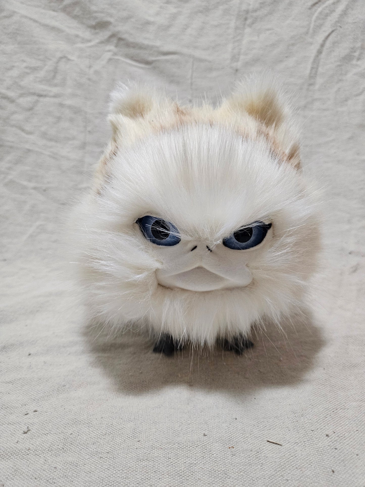 Art Doll Lothball Kitten- Cream with Light Blue Eyes and Brown Spots