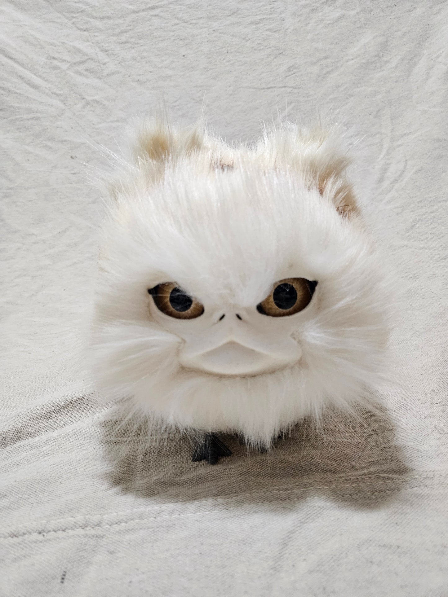 Art Doll Lothball Kitten- Cream with Light Brown Eyes and Brown Spots