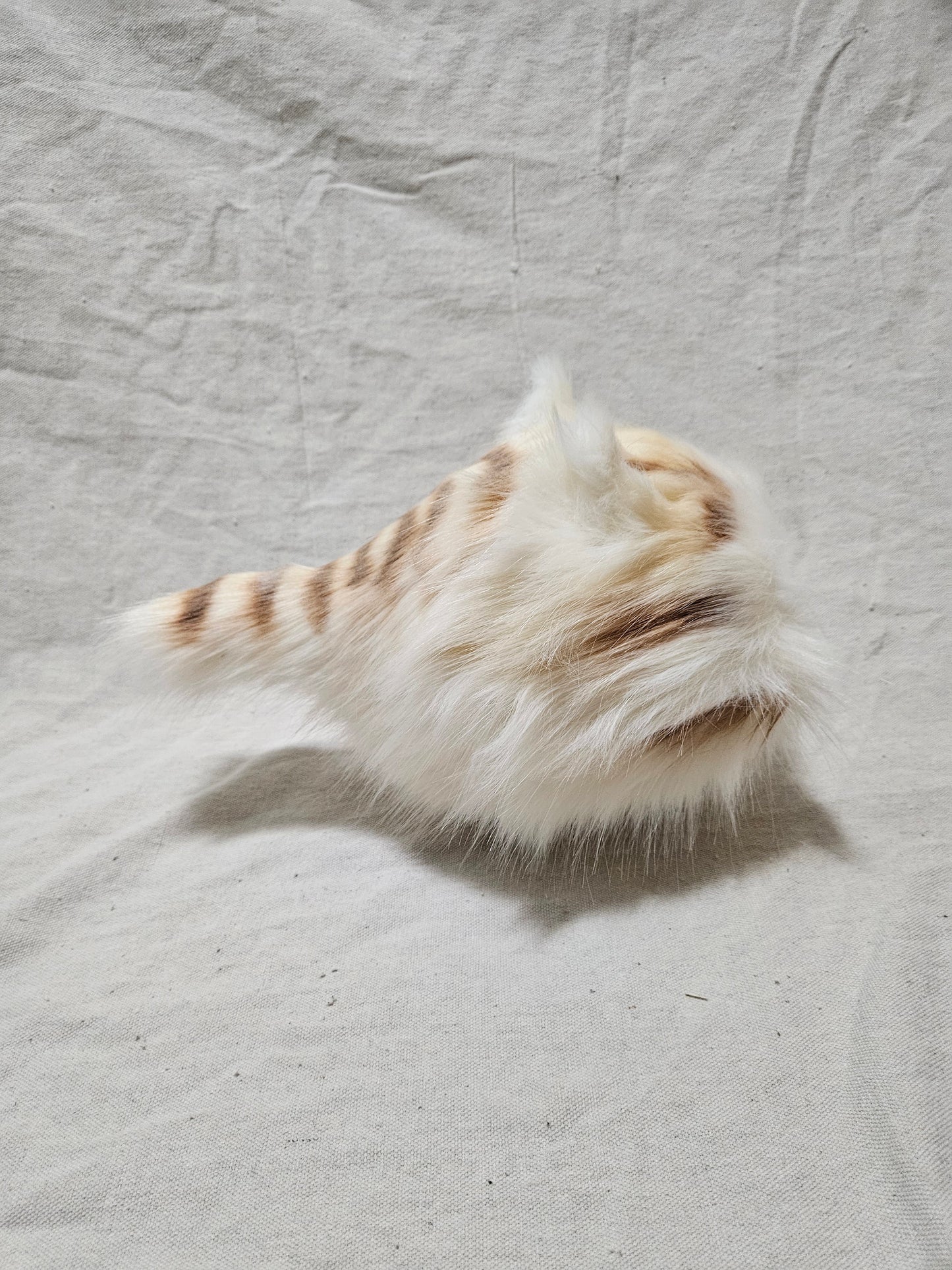 Art Doll Lothball Kitten- Cream with Light Brown Eyes and Brown Stripes