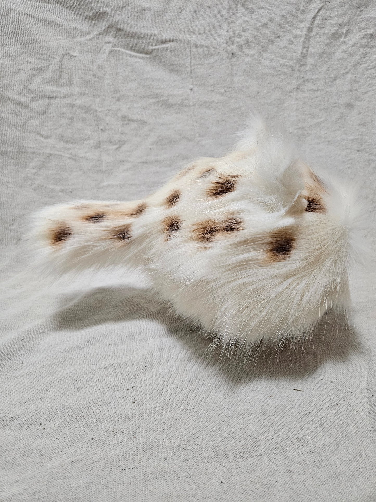 Art Doll Lothball Kitten- Cream with Dark Blue Eyes and Brown Spots