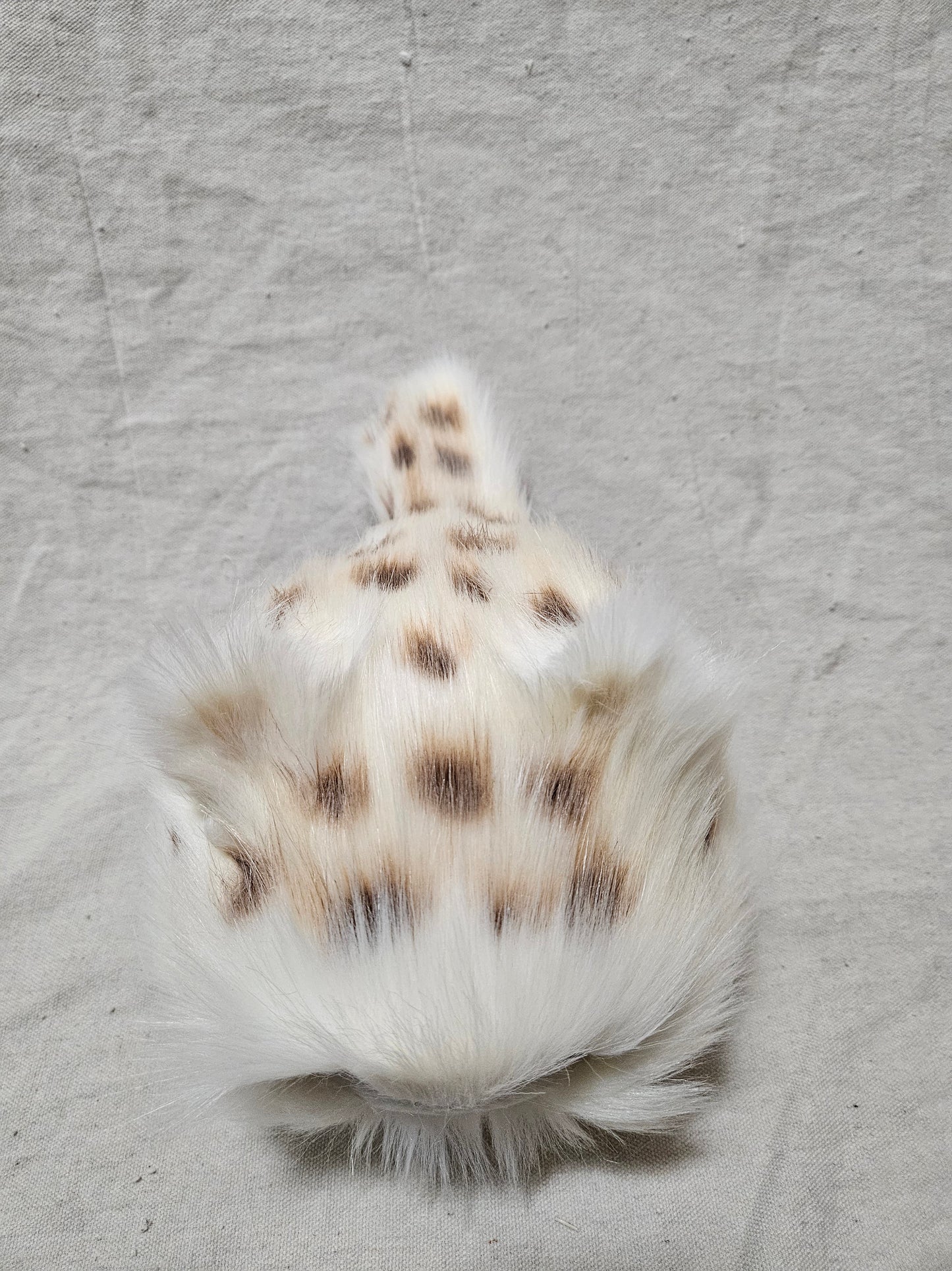 Art Doll Lothball Kitten- Cream with Dark Blue Eyes and Brown Spots
