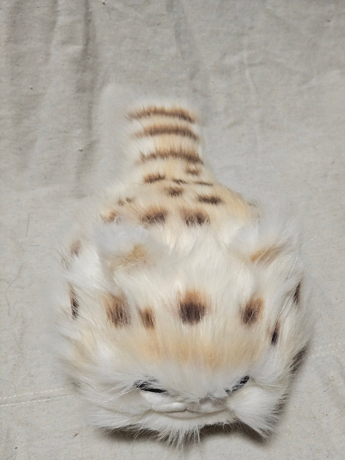 Art Doll Lothball Kitten- Cream with Light Brown Eyes and Brown Spots