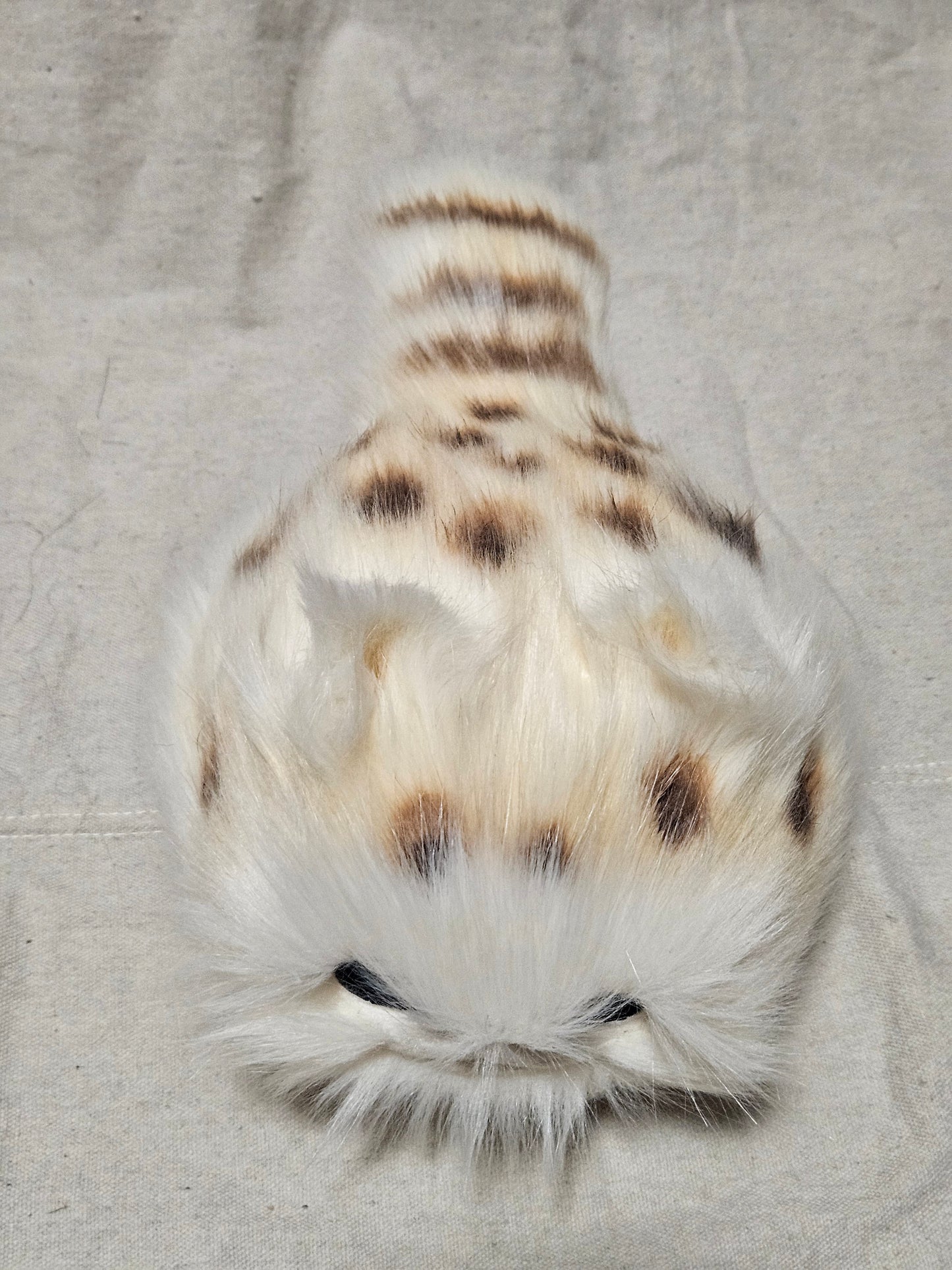 Art Doll Lothball Kitten- Cream with Light Blue Eyes and Brown Spots