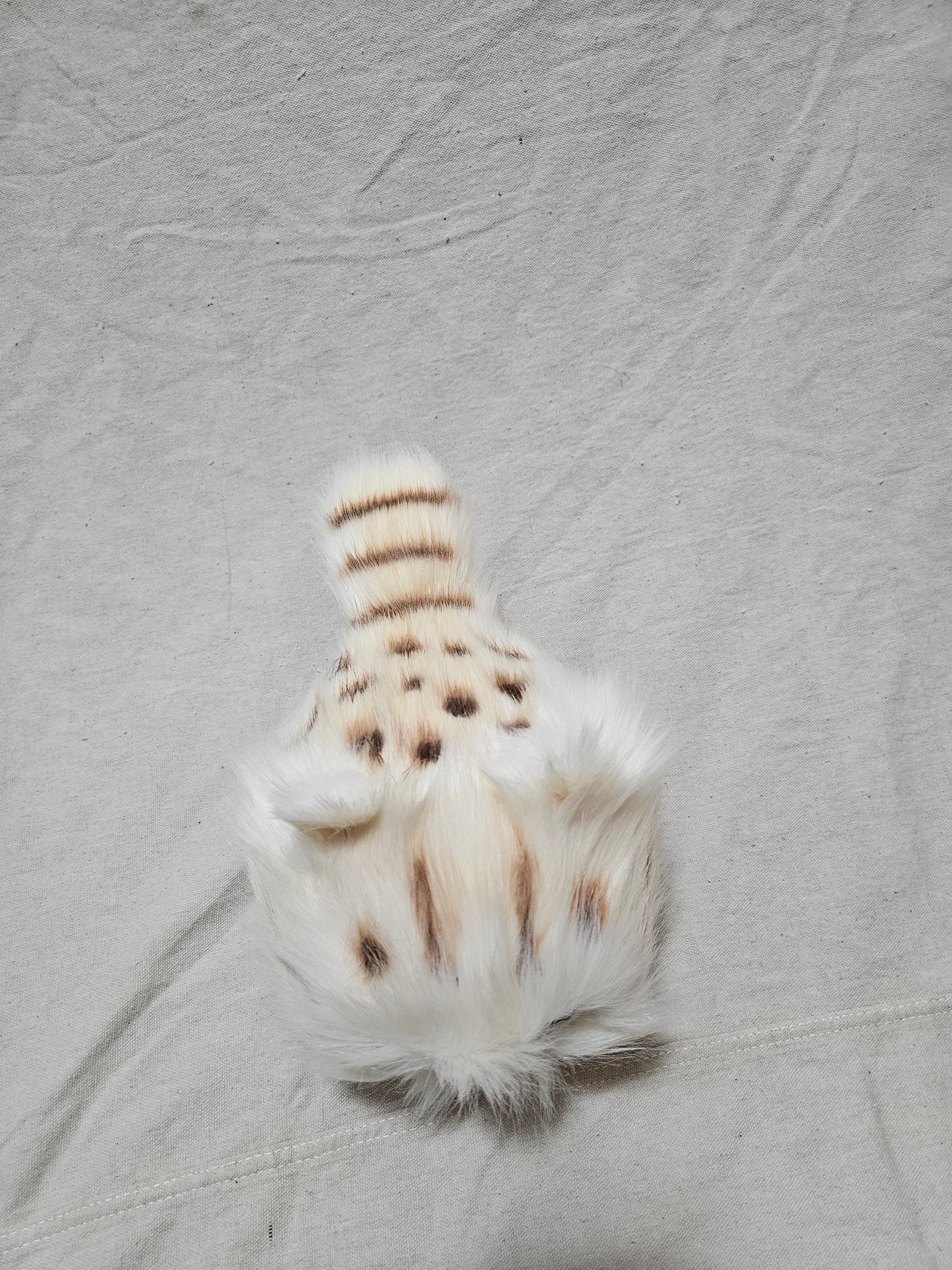 Art Doll Lothball Kitten- Cream with Dark Blue Eyes and Brown Spots