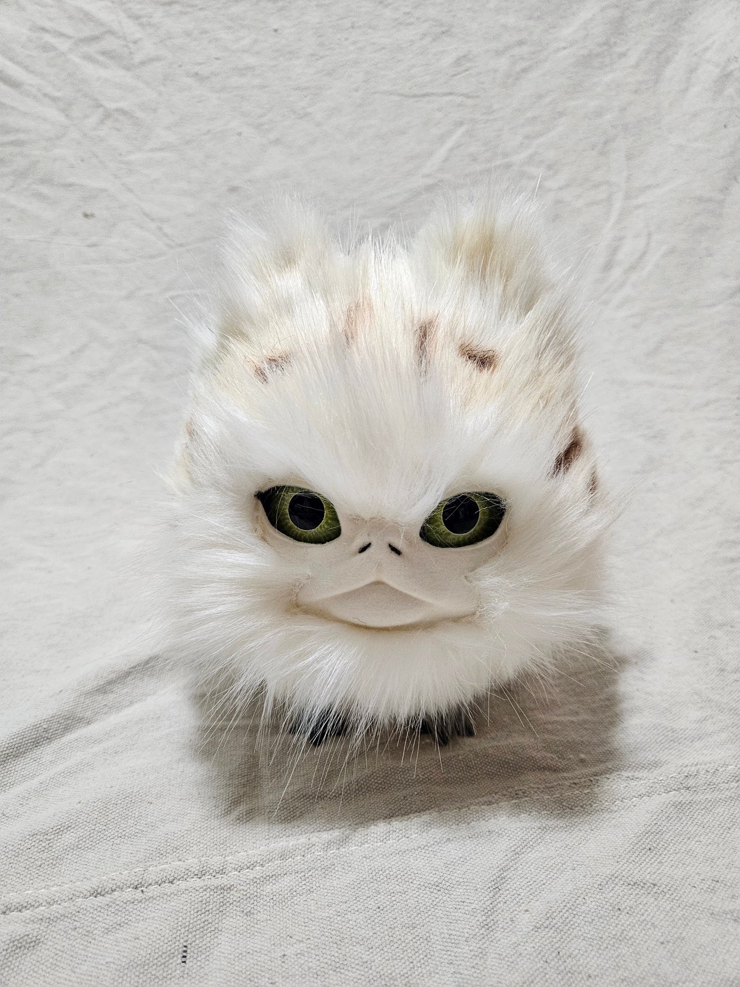 Art Doll Lothball Kitten- Cream with Green Eyes and Brown Spots
