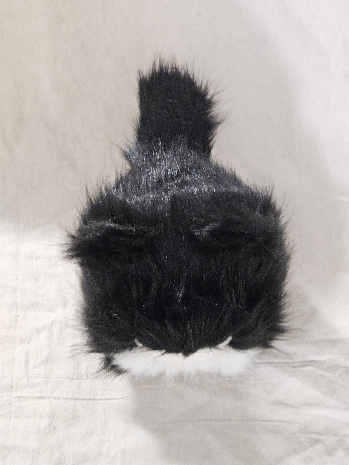 RESERVED Art Doll Lothball Kitten- Black and White with Dark Blue Eyes