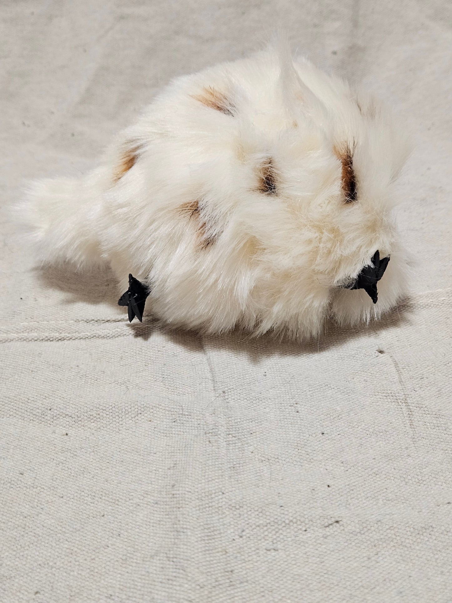 Magnetic Lothball Cosplay Companion- Cream with Brown Spots