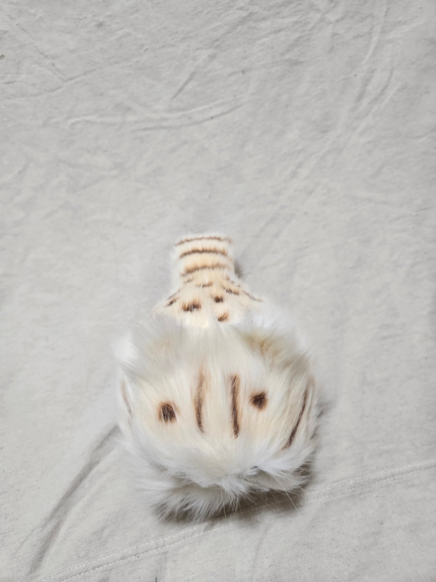 Art Doll Lothball Kitten- Cream with Green Eyes and Brown Spots