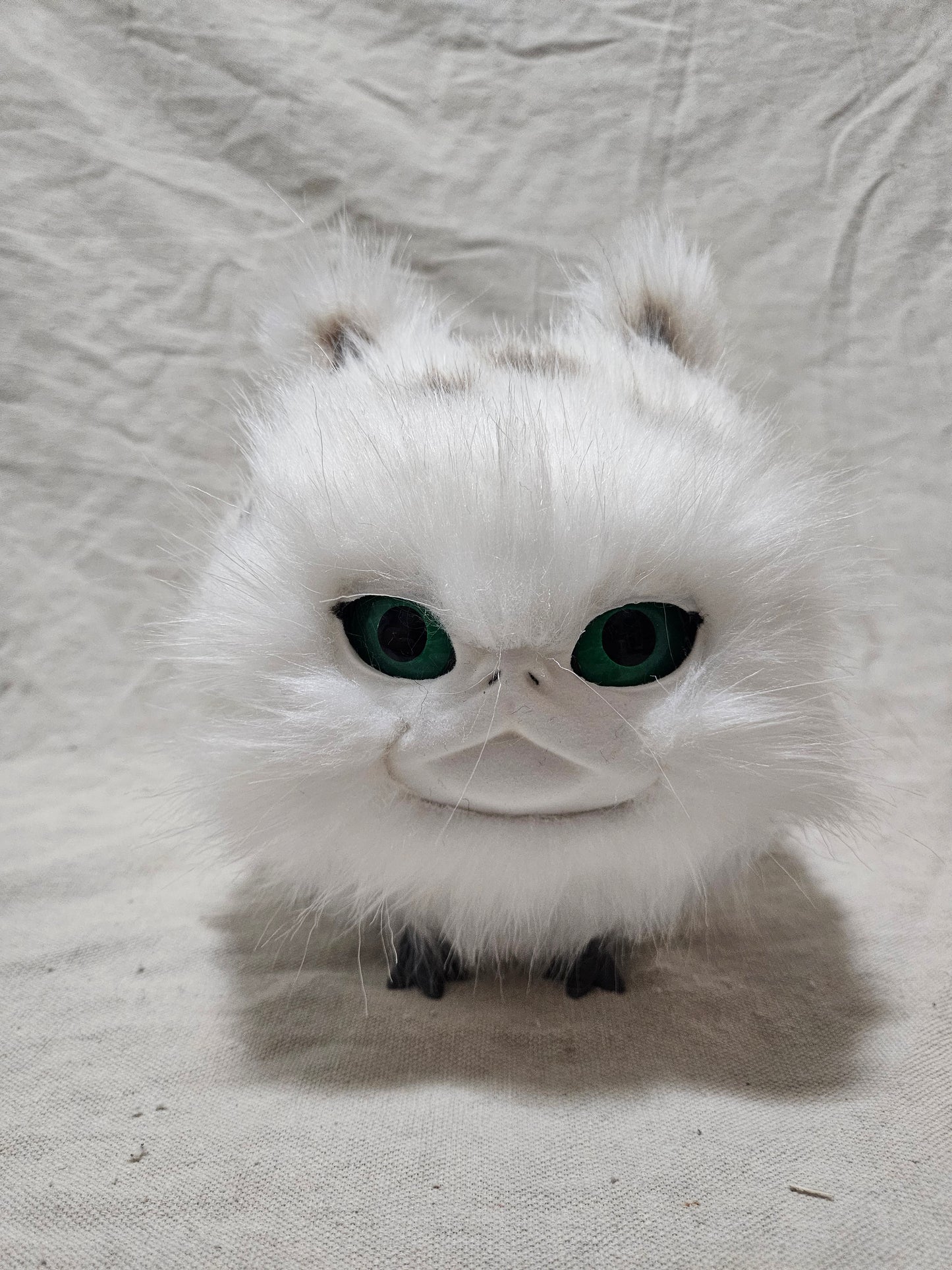 Art Doll Lothball Kitten- White with Dark Green Eyes and Brown Spots