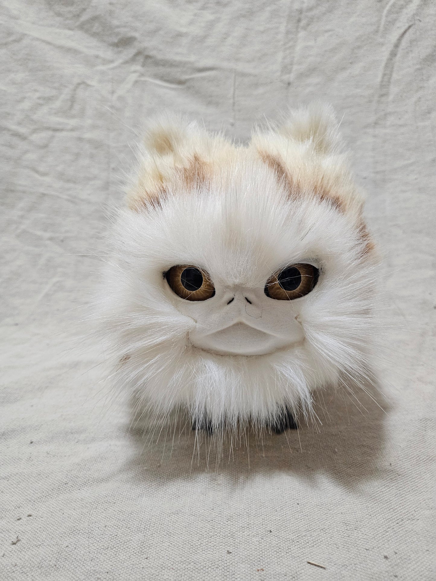 Art Doll Lothball Kitten- Cream with Light Brown Eyes and Brown Stripes