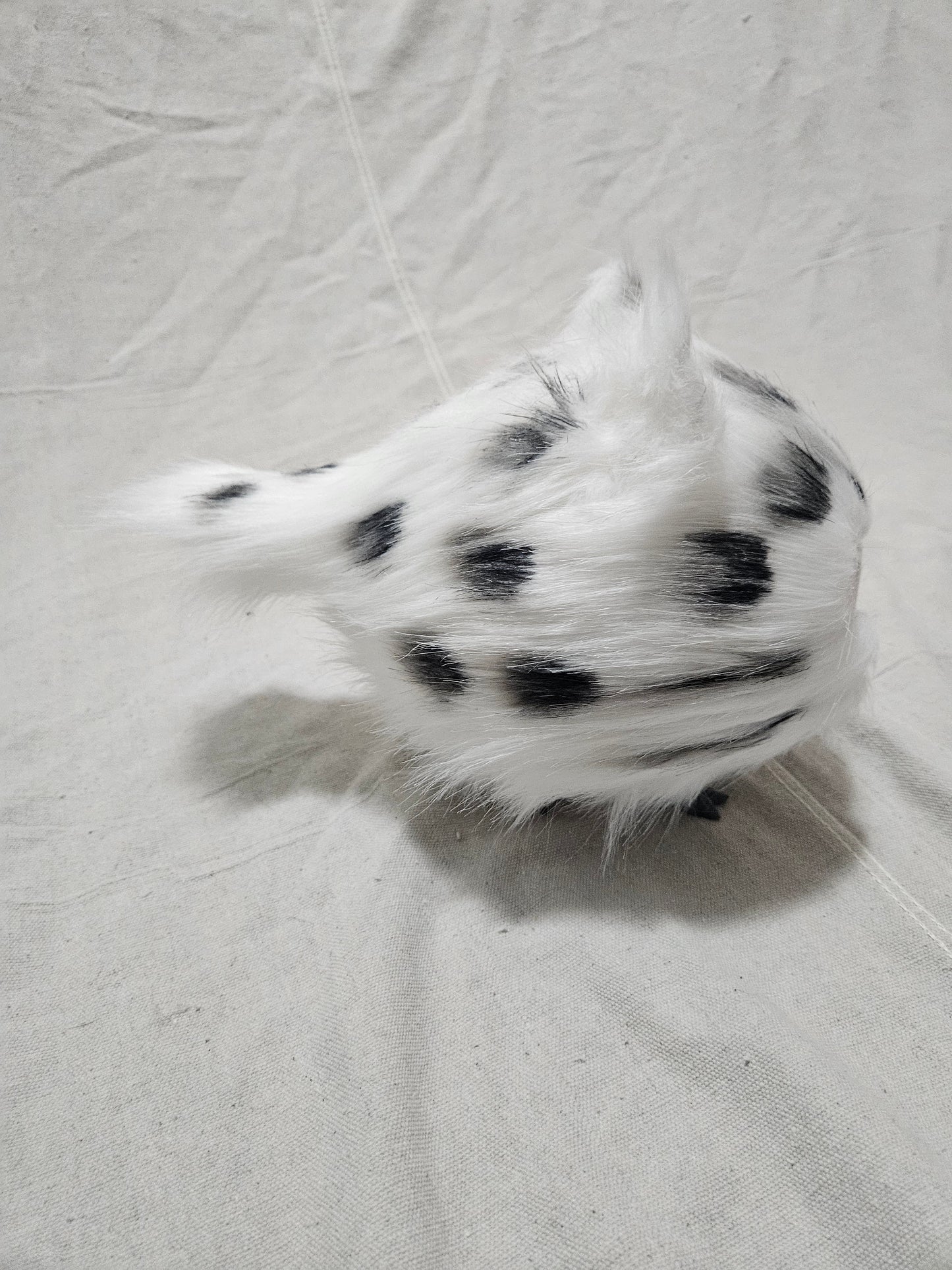 Art Doll Lothball Kitten- White with Dark Purple Eyes and Leopard Spots