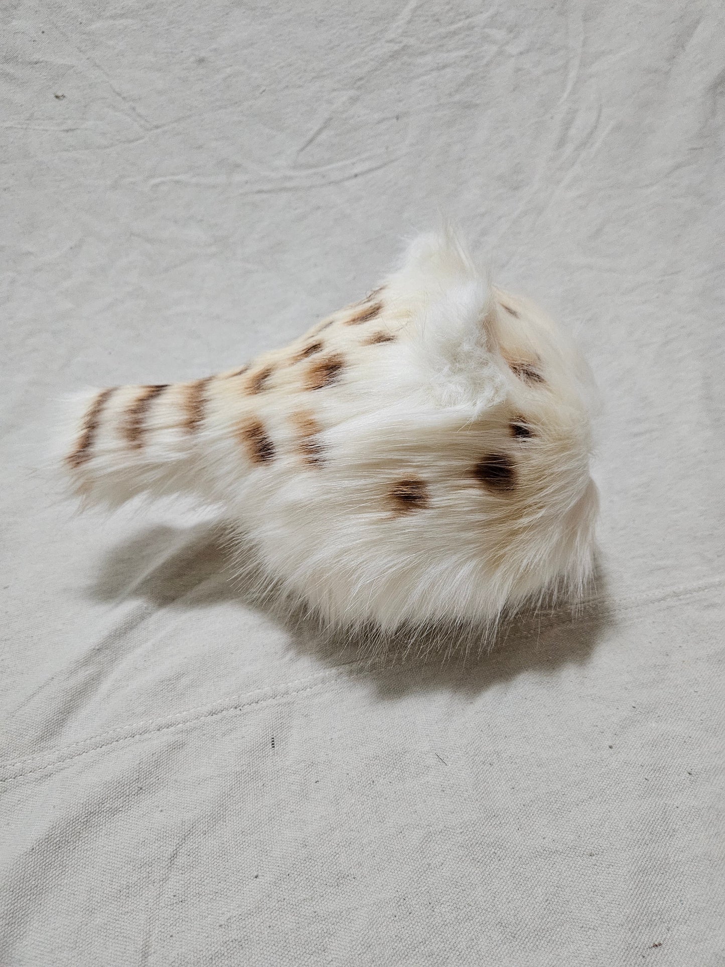 Art Doll Lothball Kitten- Cream with Light Brown Eyes and Brown Spots