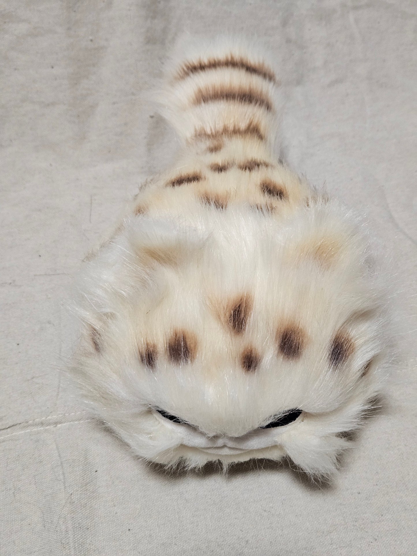 Art Doll Lothball Kitten- Cream with Dark Brown Eyes and Brown Spots