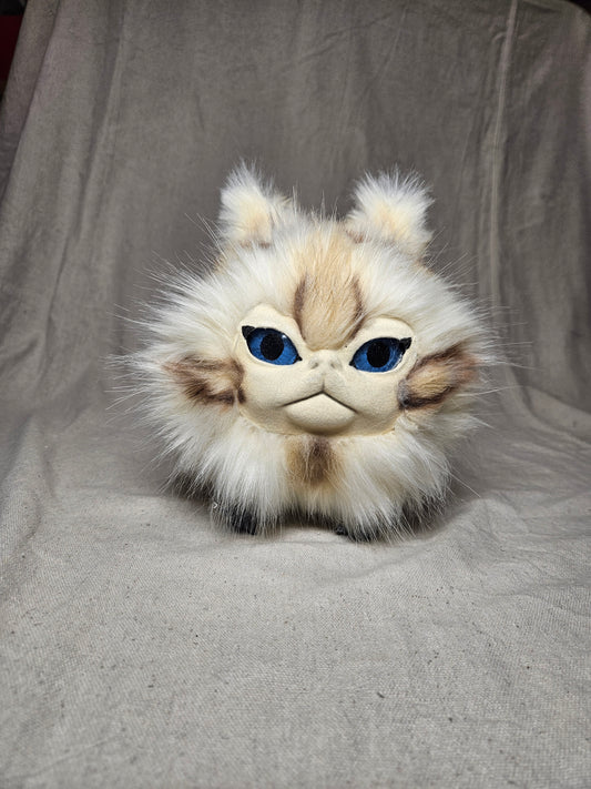 Lothball Kitten Cream with Blue Eyes, Brown Spots