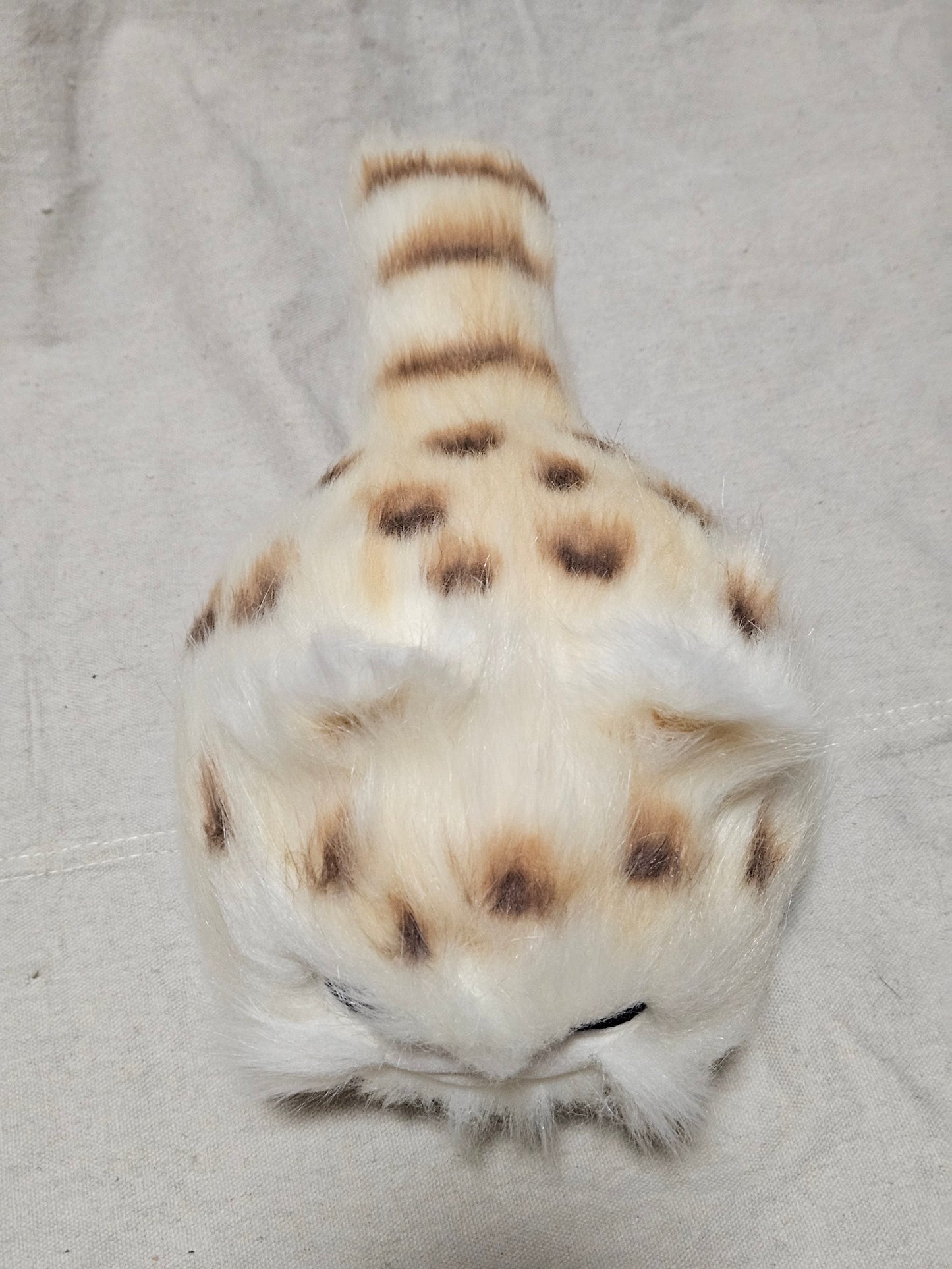 Art Doll Lothball Kitten- Cream with Dark Blue Eyes and Brown Spots