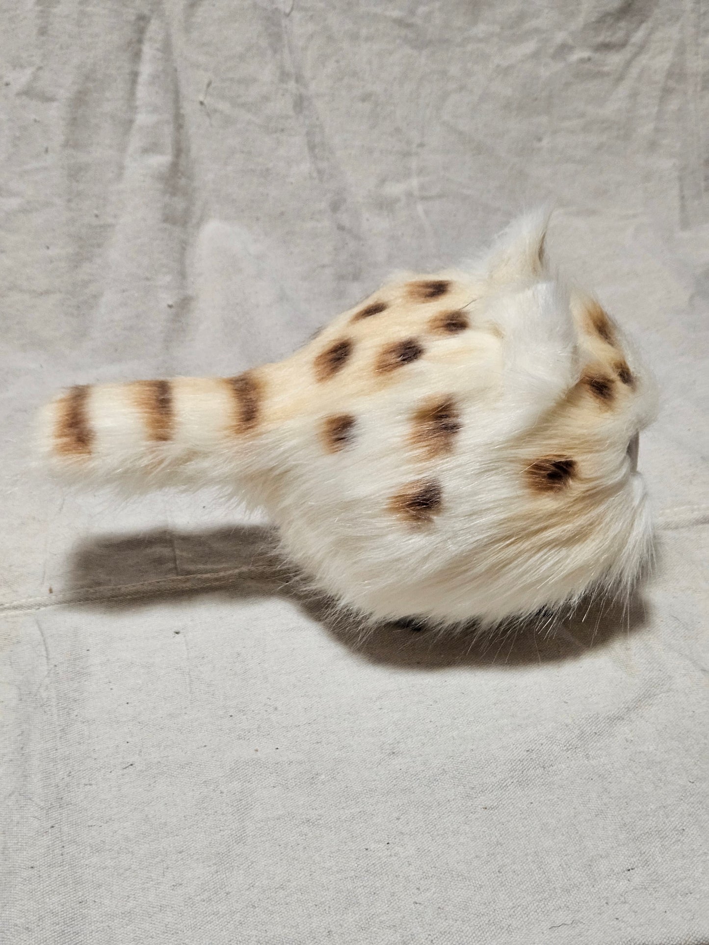 Art Doll Lothball Kitten- Cream with Dark Blue Eyes and Brown Spots