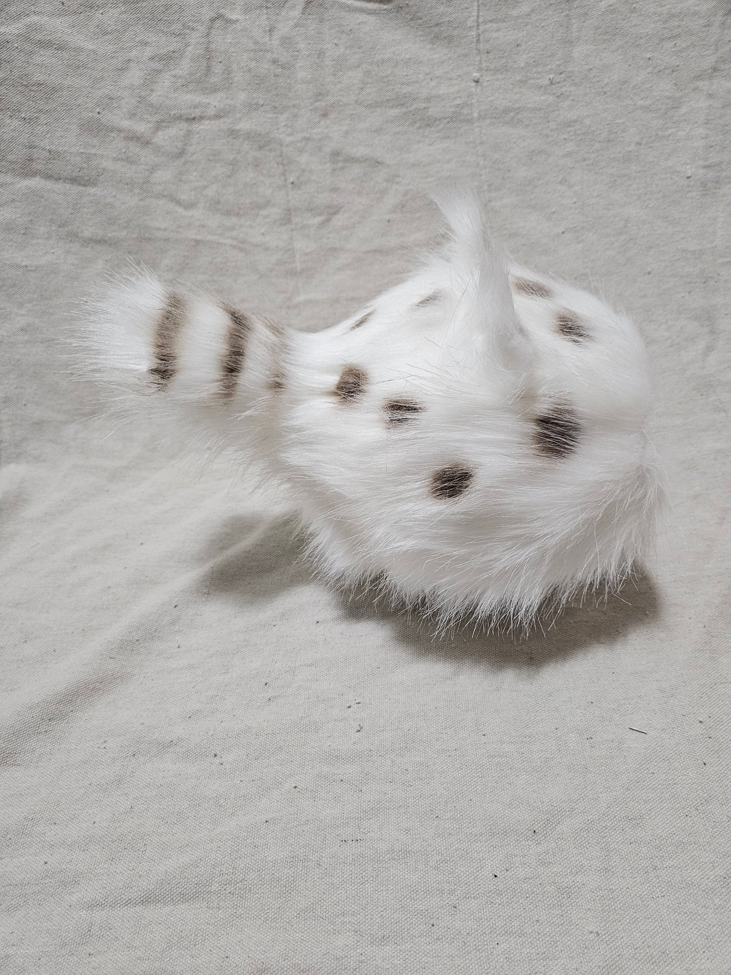 Art Doll Lothball Kitten- White with Dark Green Eyes and Brown Spots