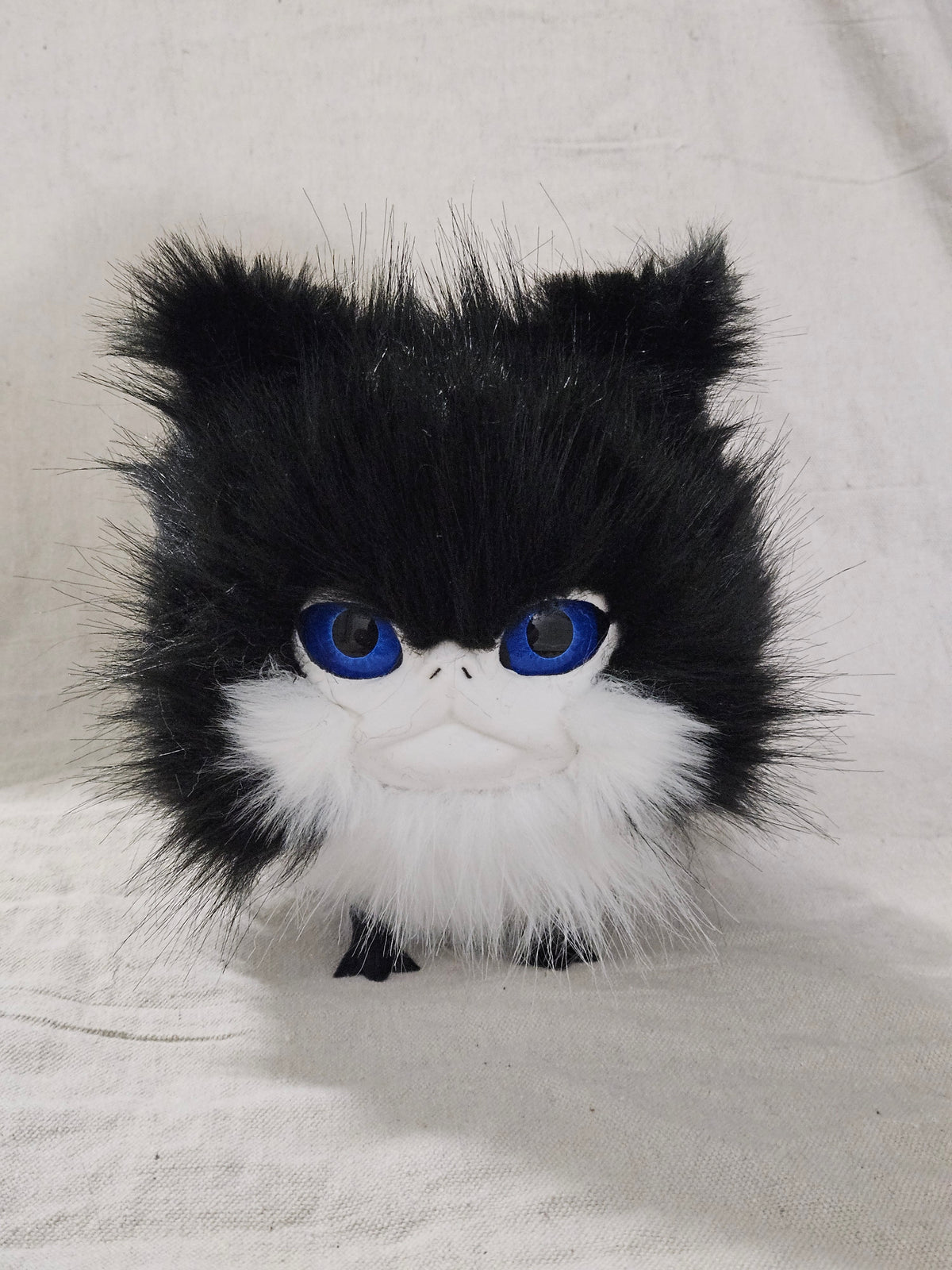 RESERVED Art Doll Lothball Kitten- Black and White with Dark Blue Eyes